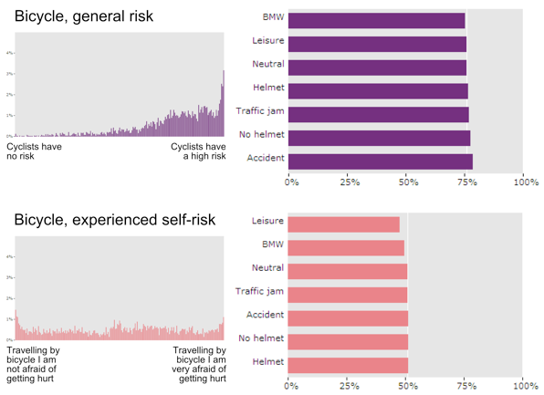 risk perception